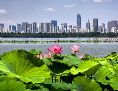 上海爷叔现身被大量股民围观