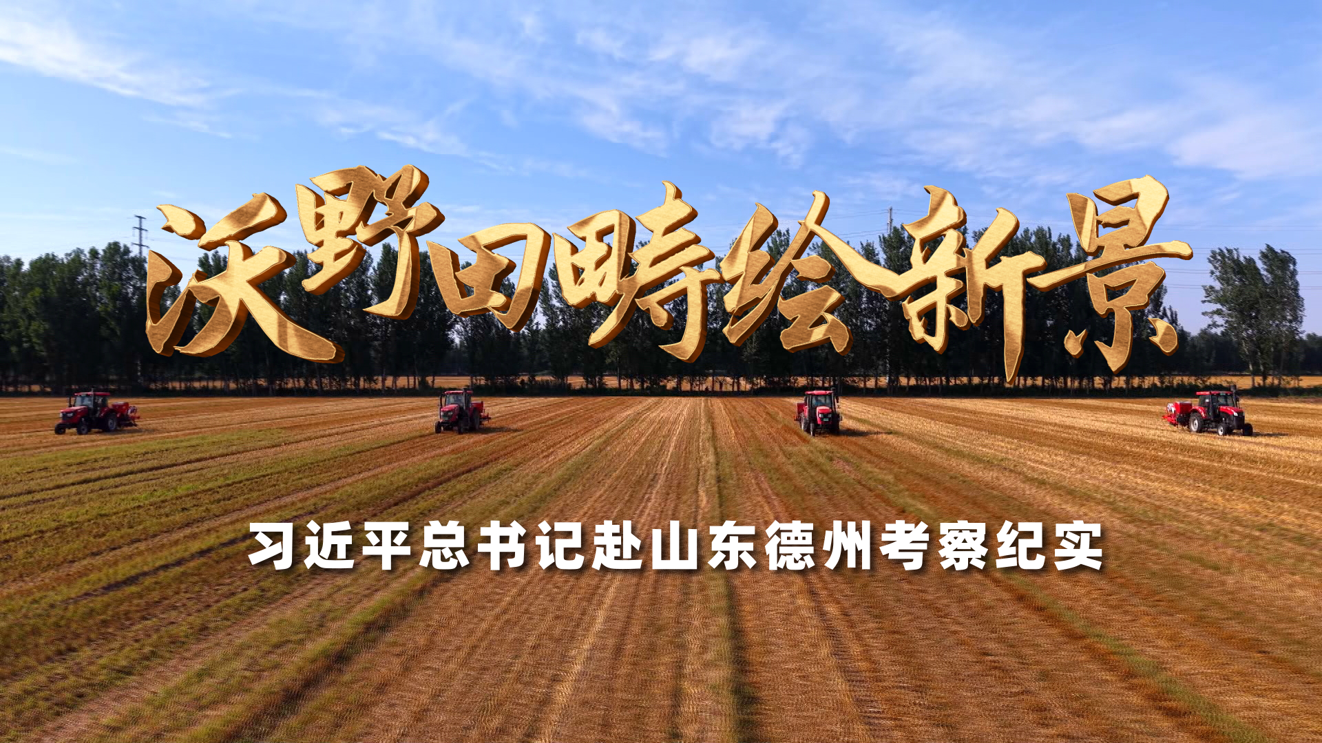 中法学者共话文化遗产司法保护 建言推进非法流失文物追索