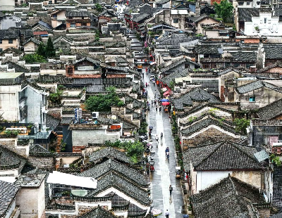 杨紫李现国色芳华开始招商