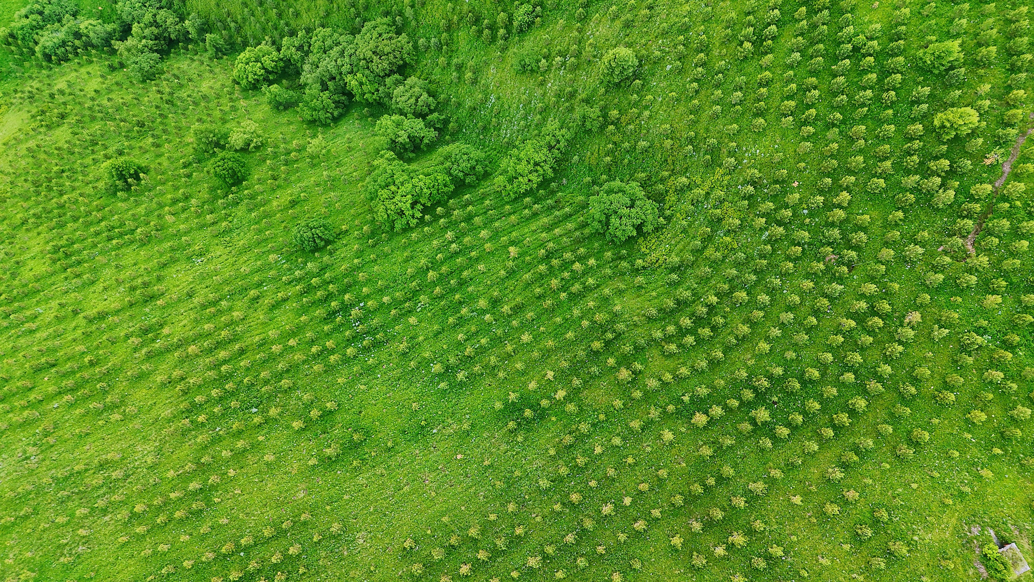 心动的信号最后一次约会