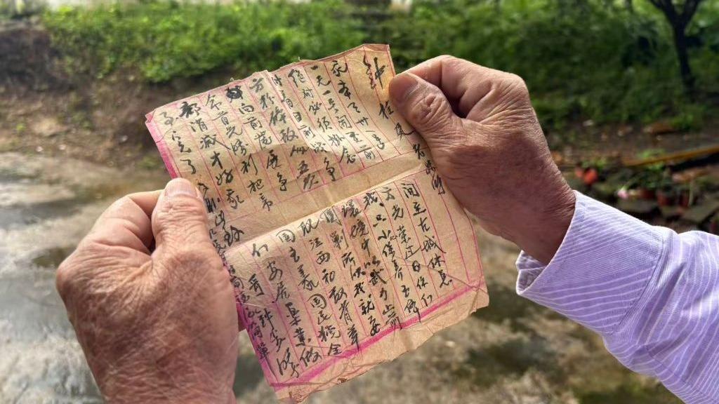 张本智和模仿樊振东模仿姆巴佩