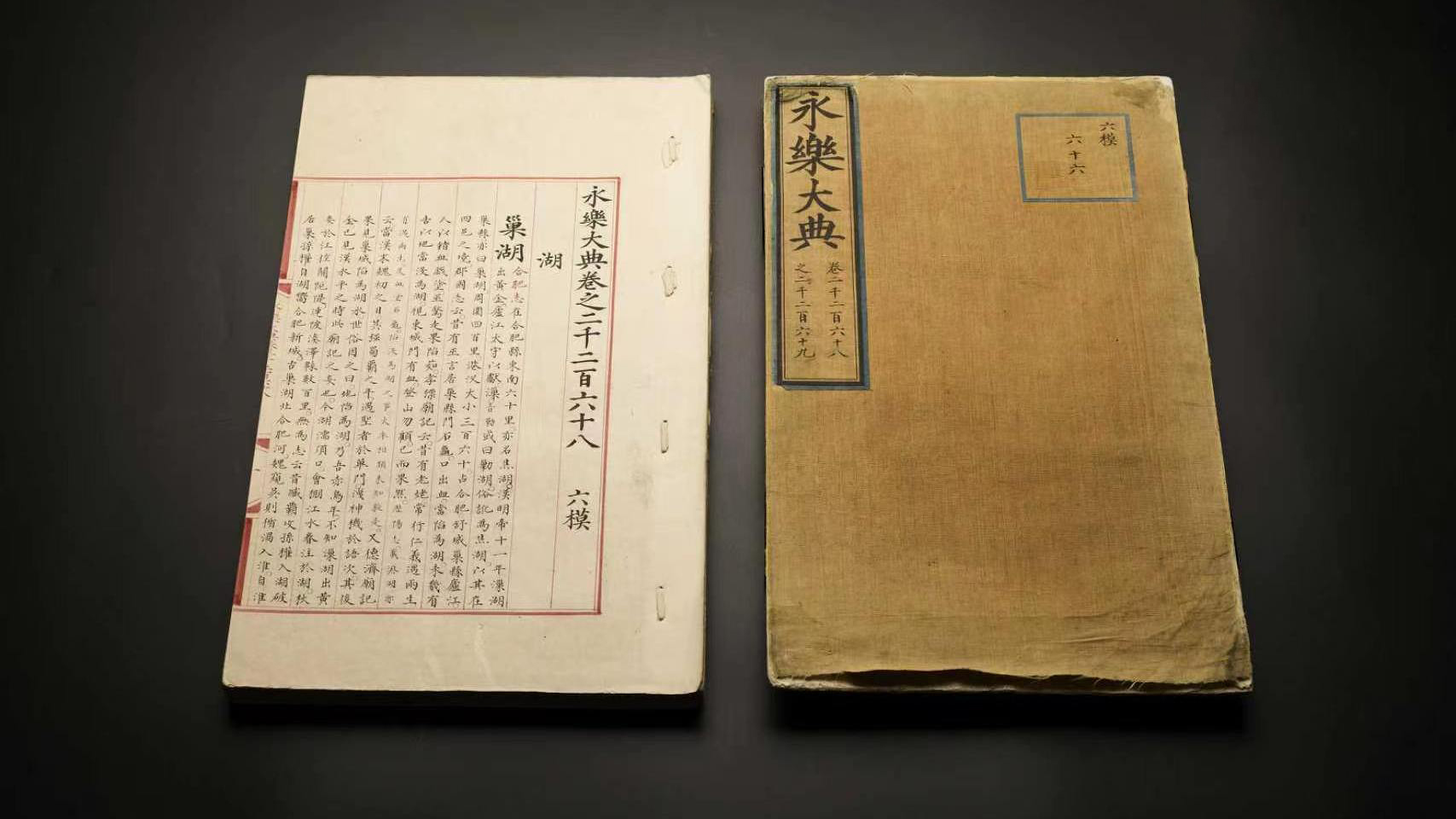 中文字幕无码不卡免费狂野女孩全集在线观看免费