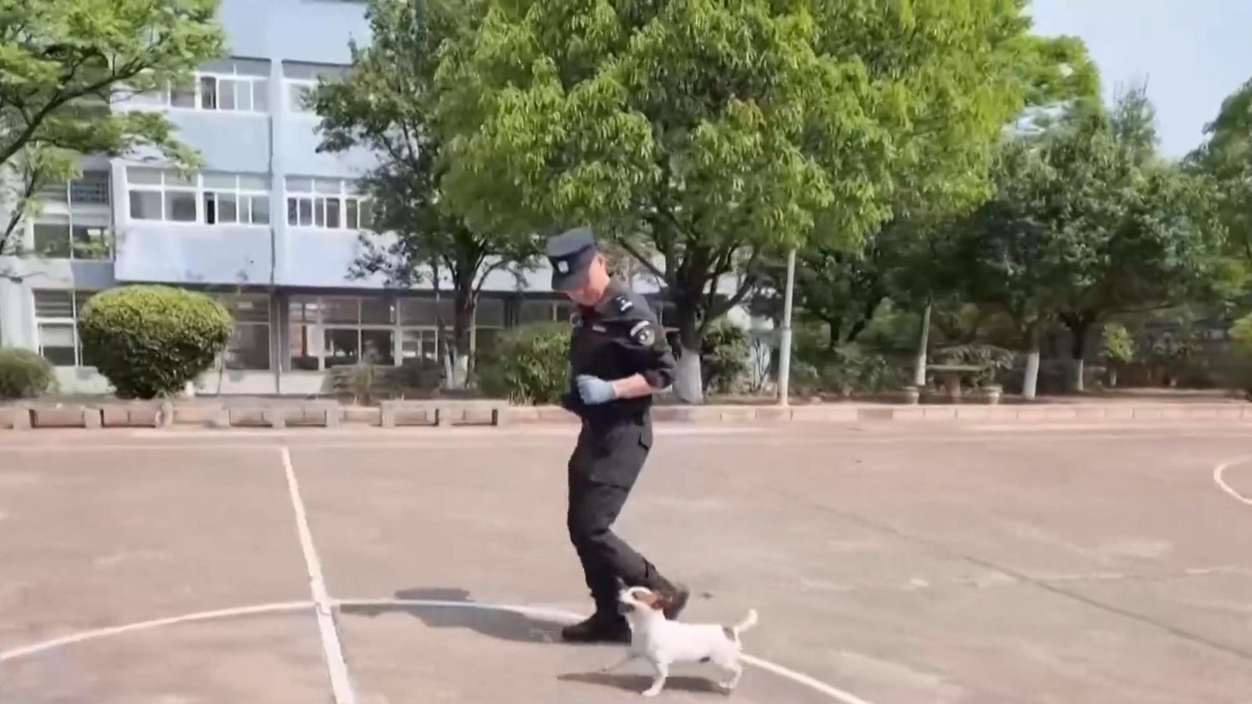 旅美大熊猫一家今晚抵达成都