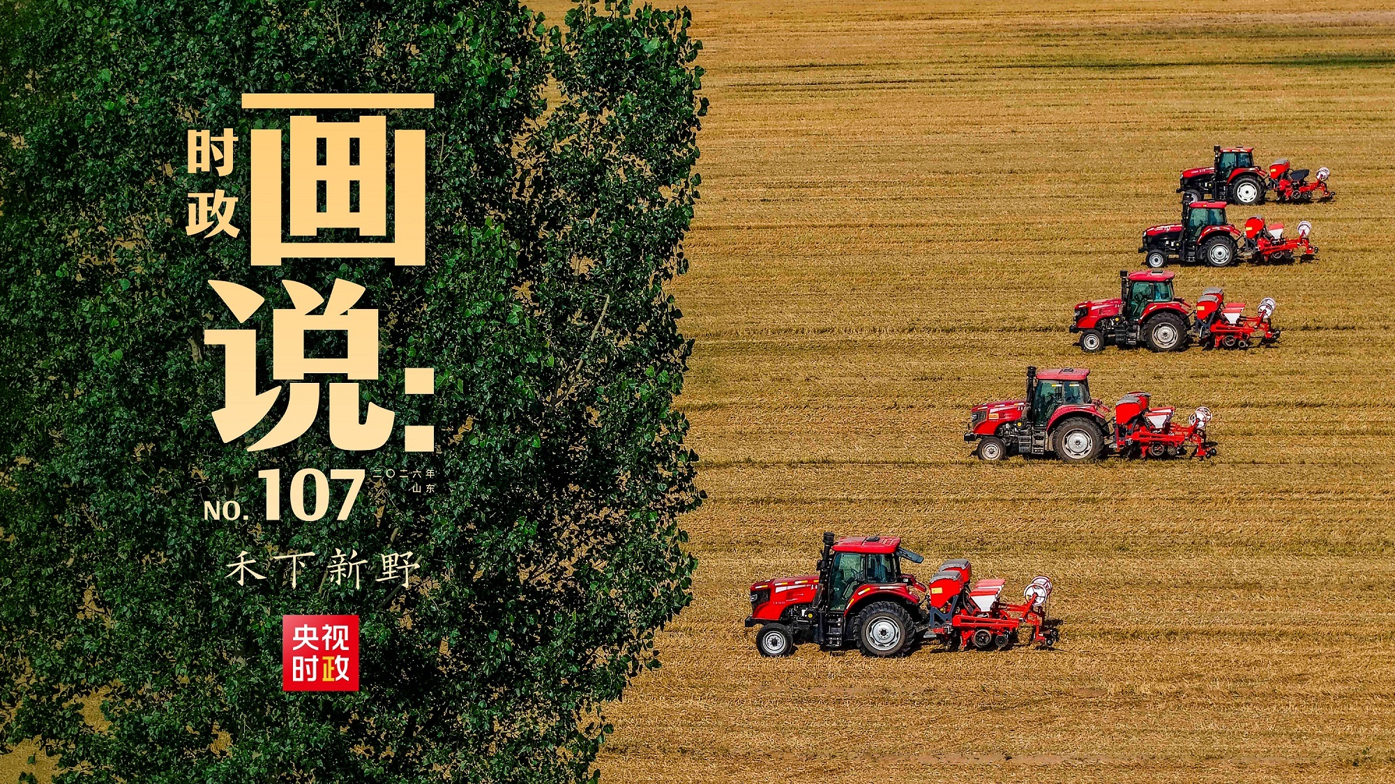奥利背刺
