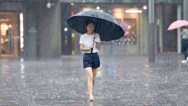 律师称雨姐带货油污净或赔偿过亿